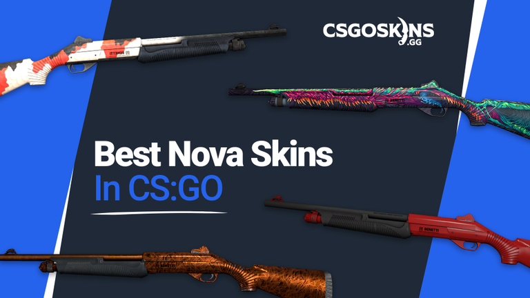 The Best Nova Skins