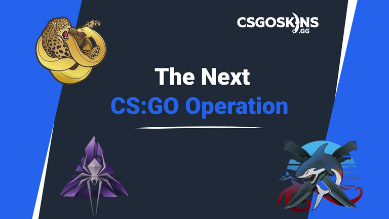 Will The Next CS:GO Operation Be Released In 2022?