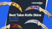 The Best Talon Knife Skins In CS2