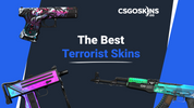 The Best Terrorist Skins In CS2