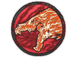 Patches