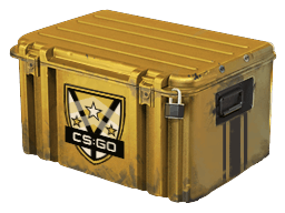 Weapon Cases