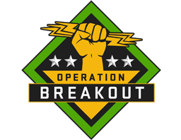 The Breakout Collection Skins