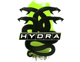 Operation Hydra Case Skins