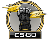 Glove Case Skins