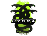Operation Hydra Case Skins