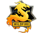 Operation Wildfire Case Skins