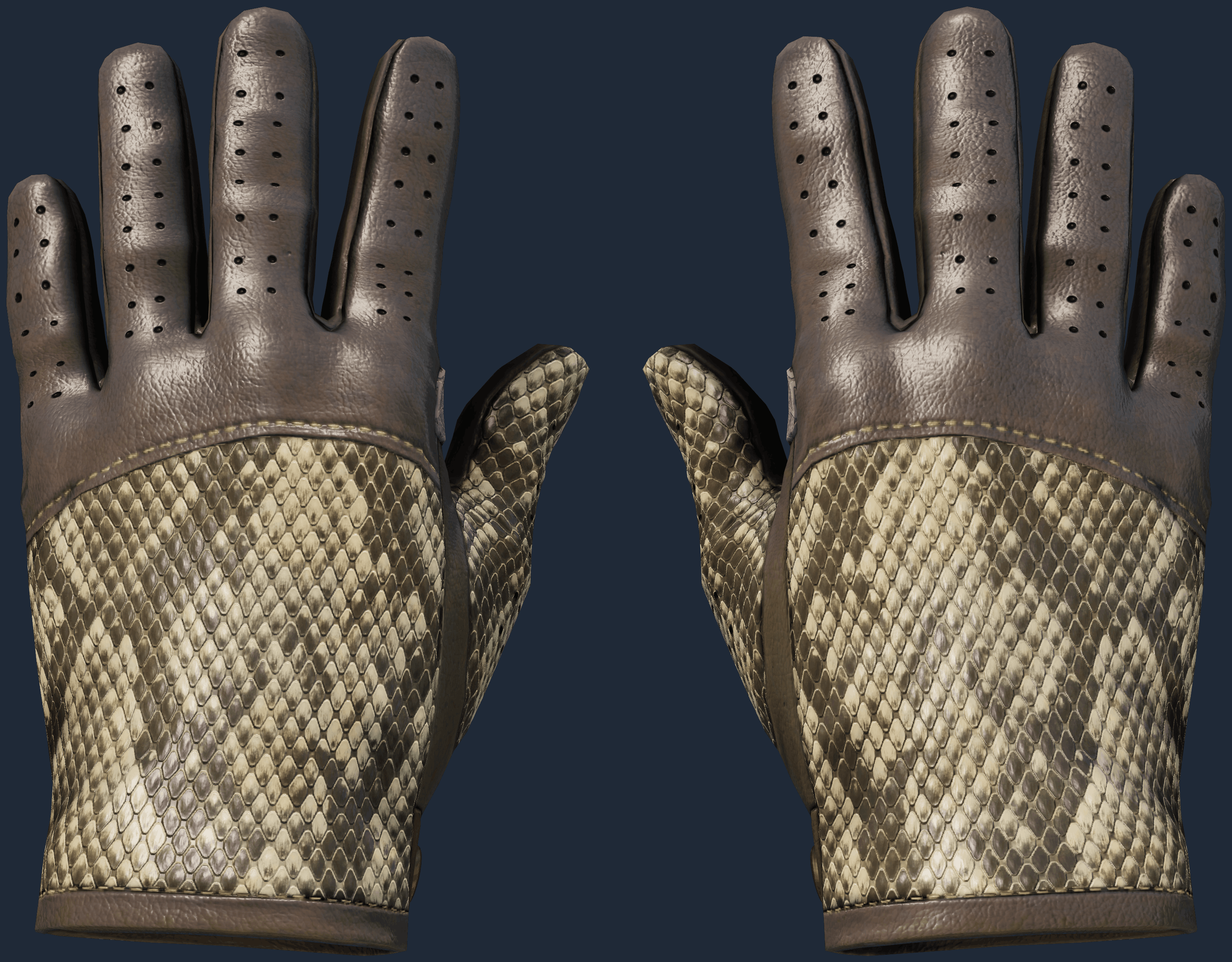 ★ Driver Gloves | Diamondback Screenshot
