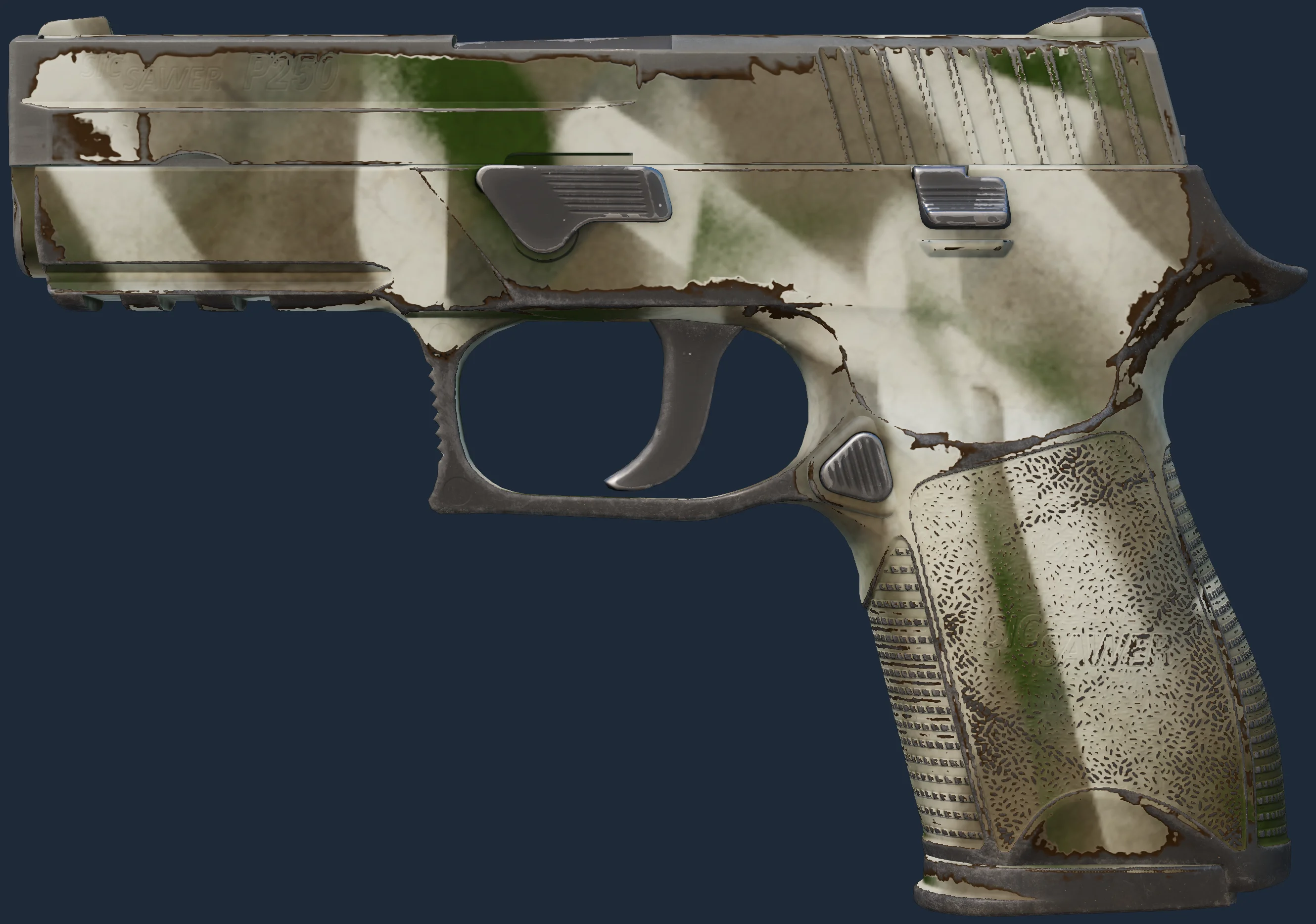 P250 | Bone Mask Image