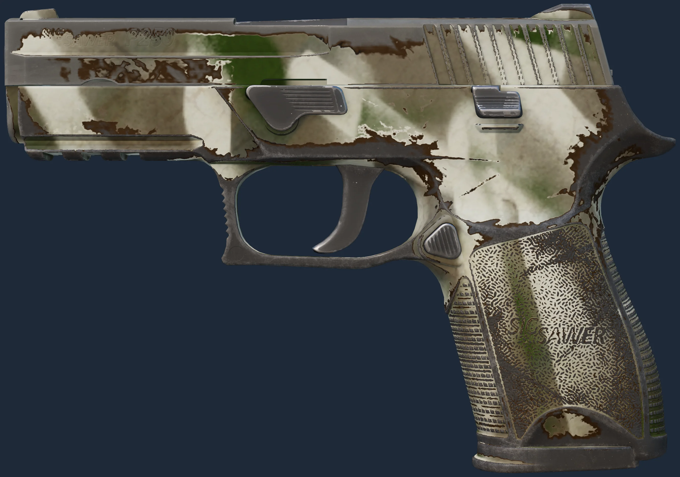 P250 | Bone Mask Image