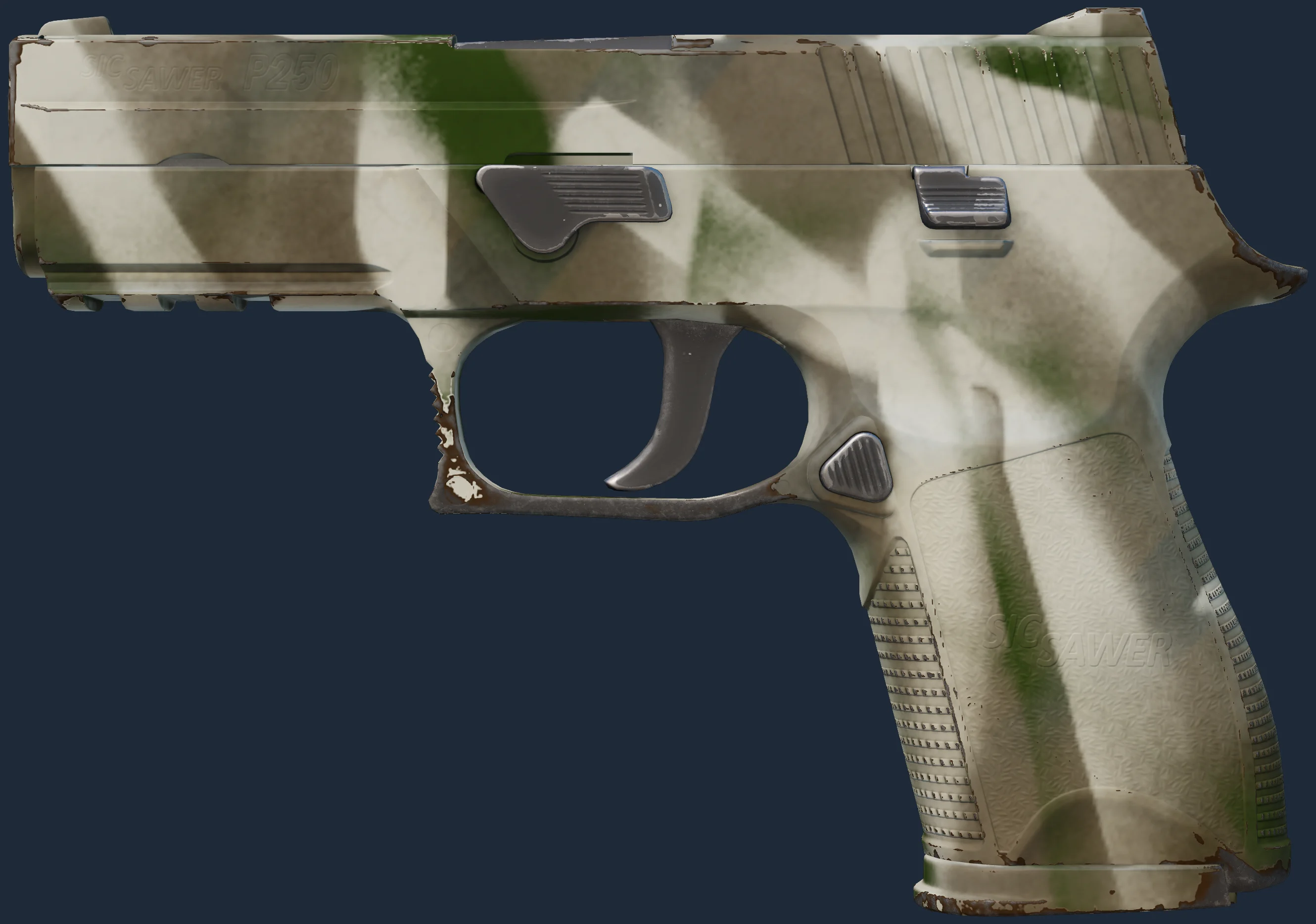 P250 | Bone Mask Image