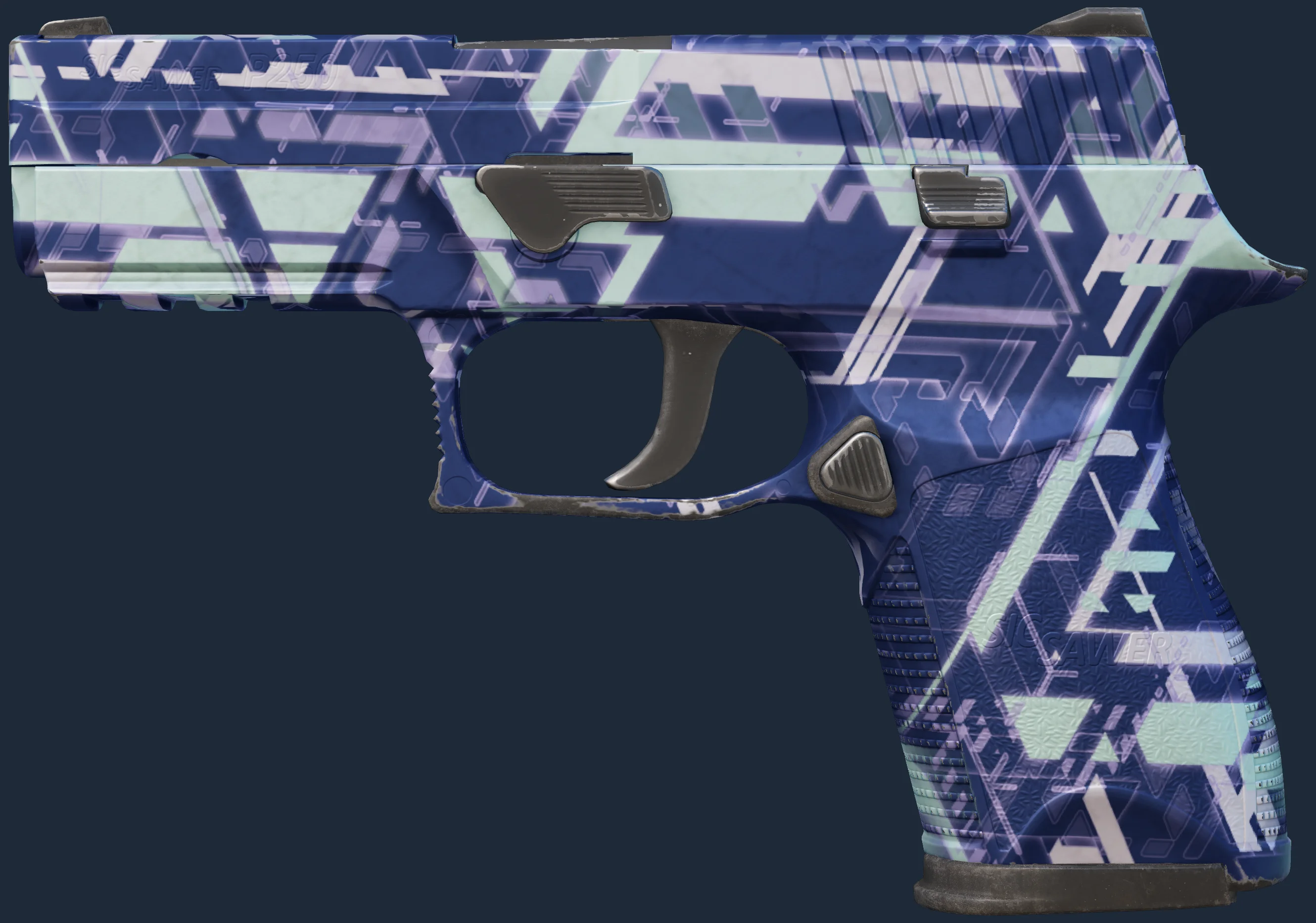 P250 | Digital Architect Image