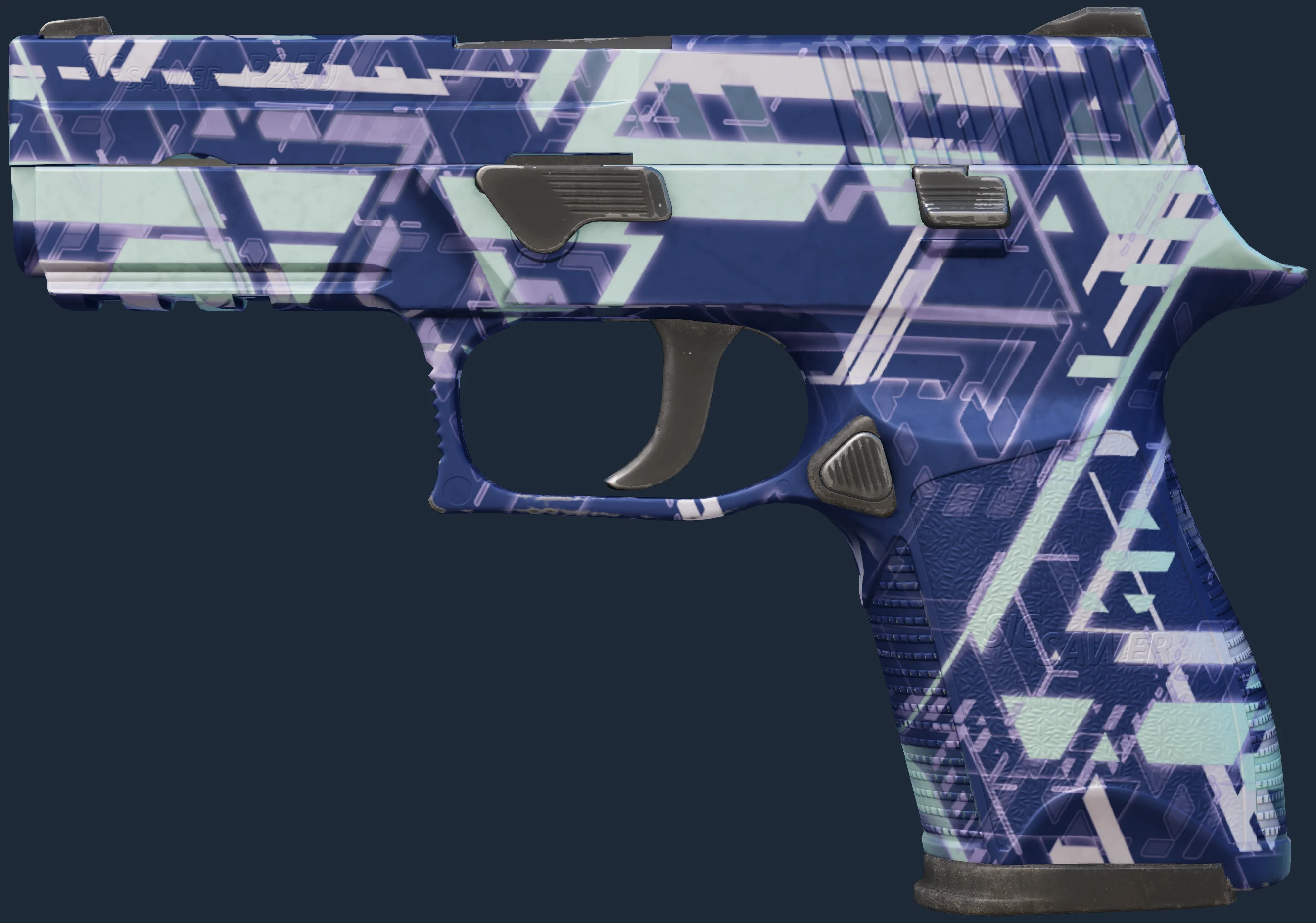 P250 | Digital Architect Image