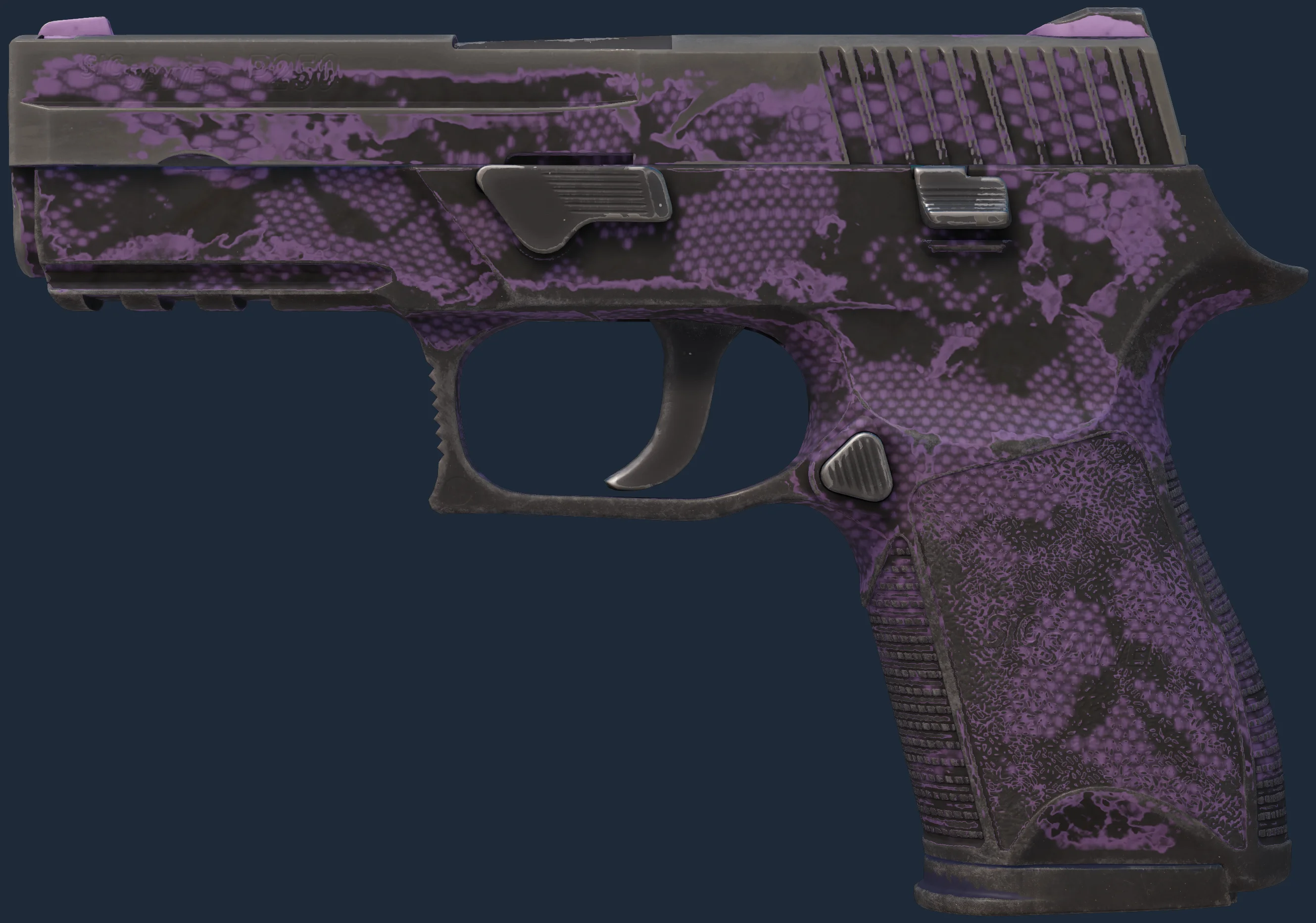 P250 | Plum Netting Image