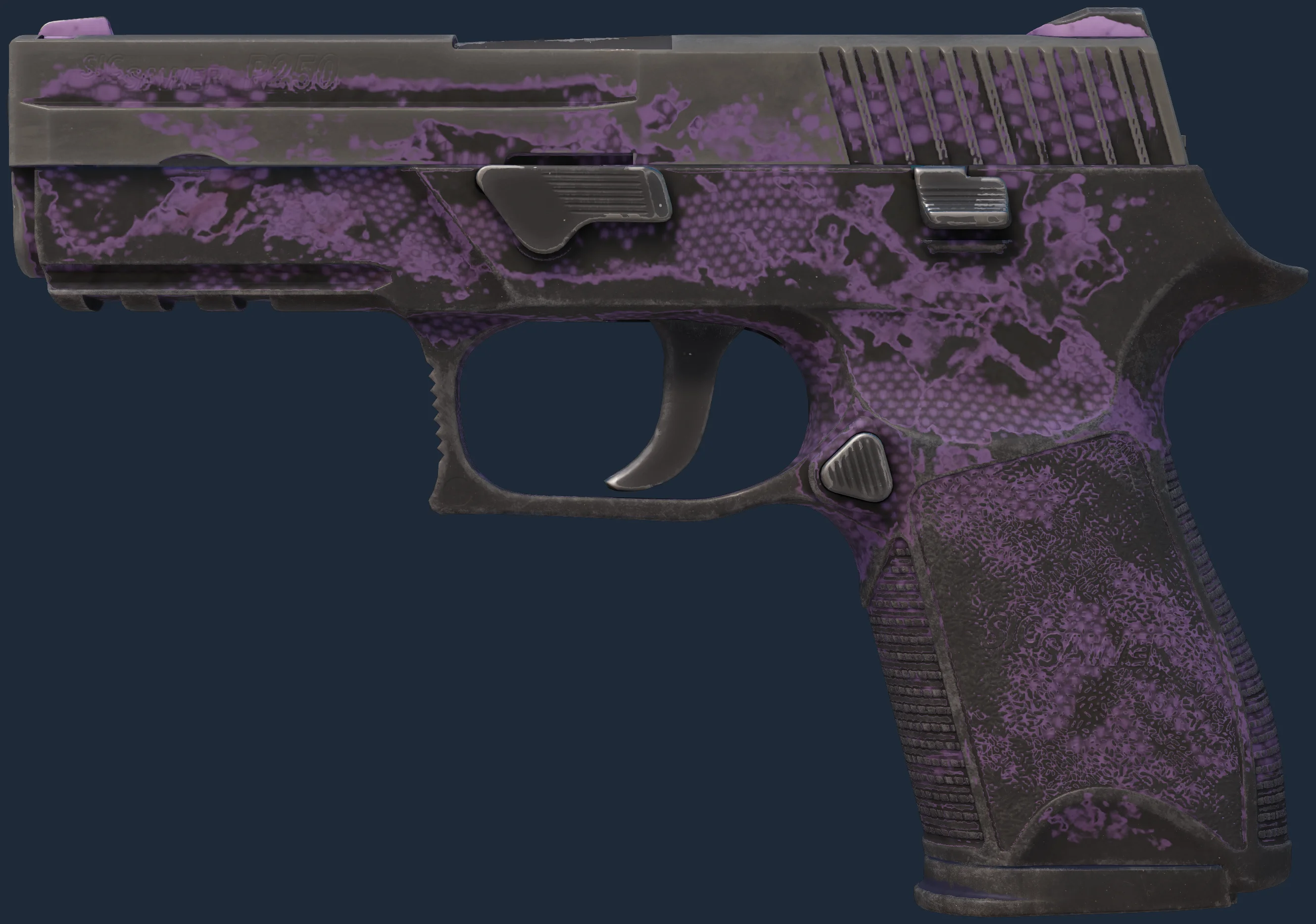 P250 | Plum Netting Image