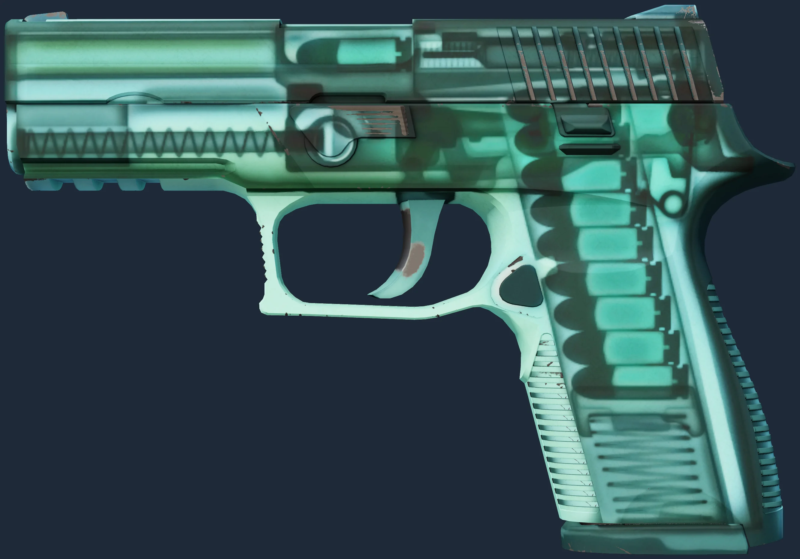 P250 | X-Ray Image