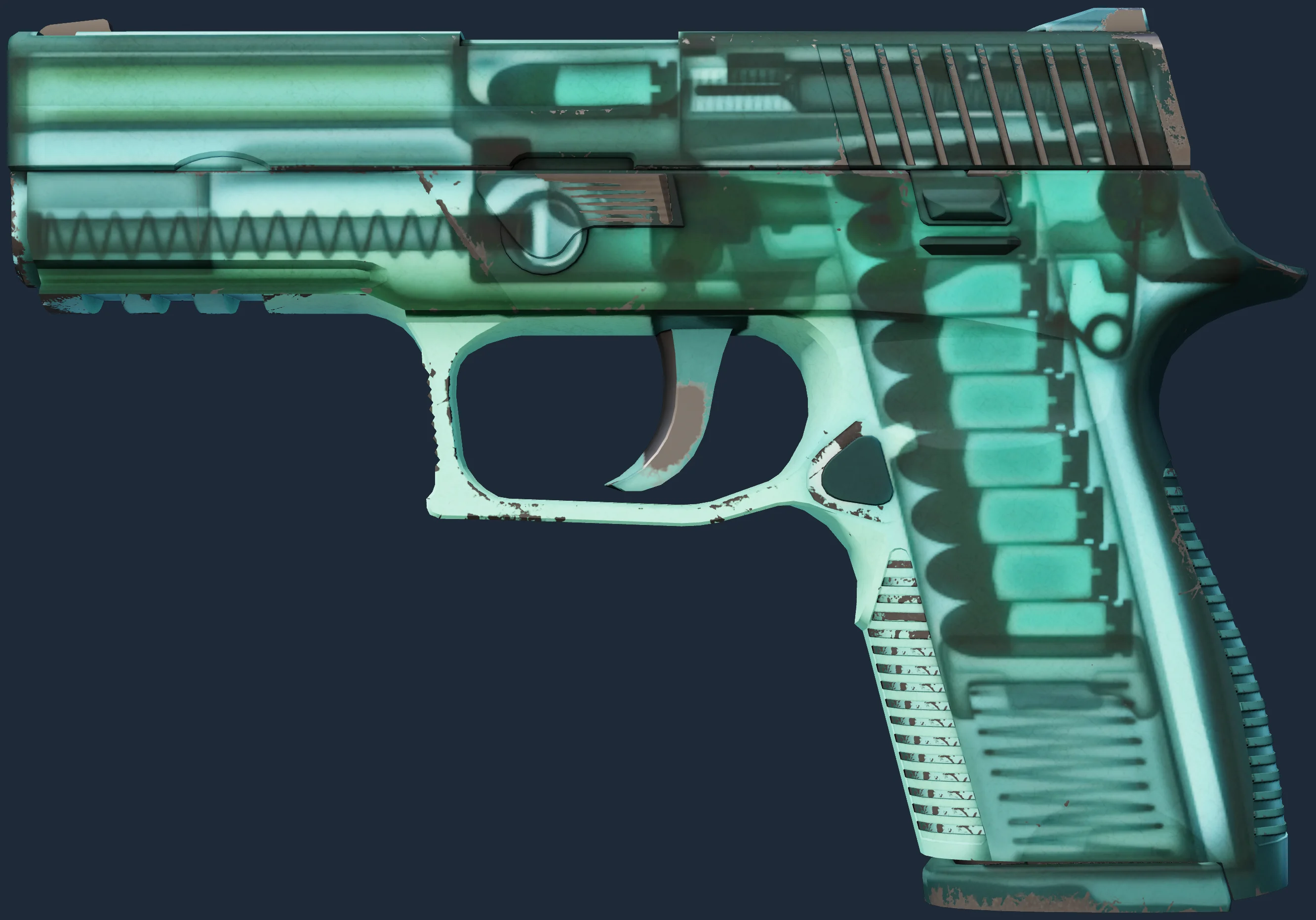 P250 | X-Ray Image