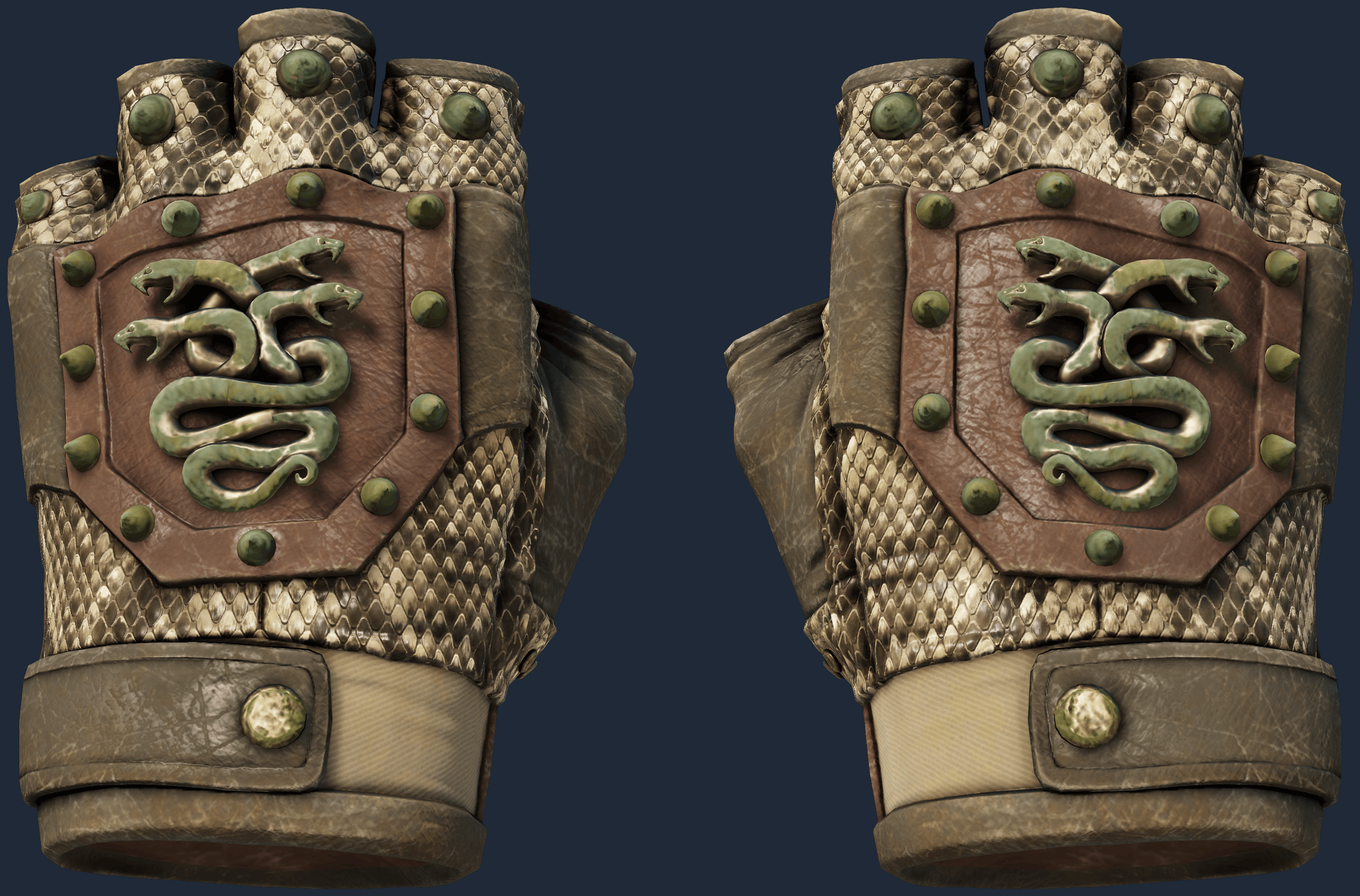 ★ Hydra Gloves | Rattler Image