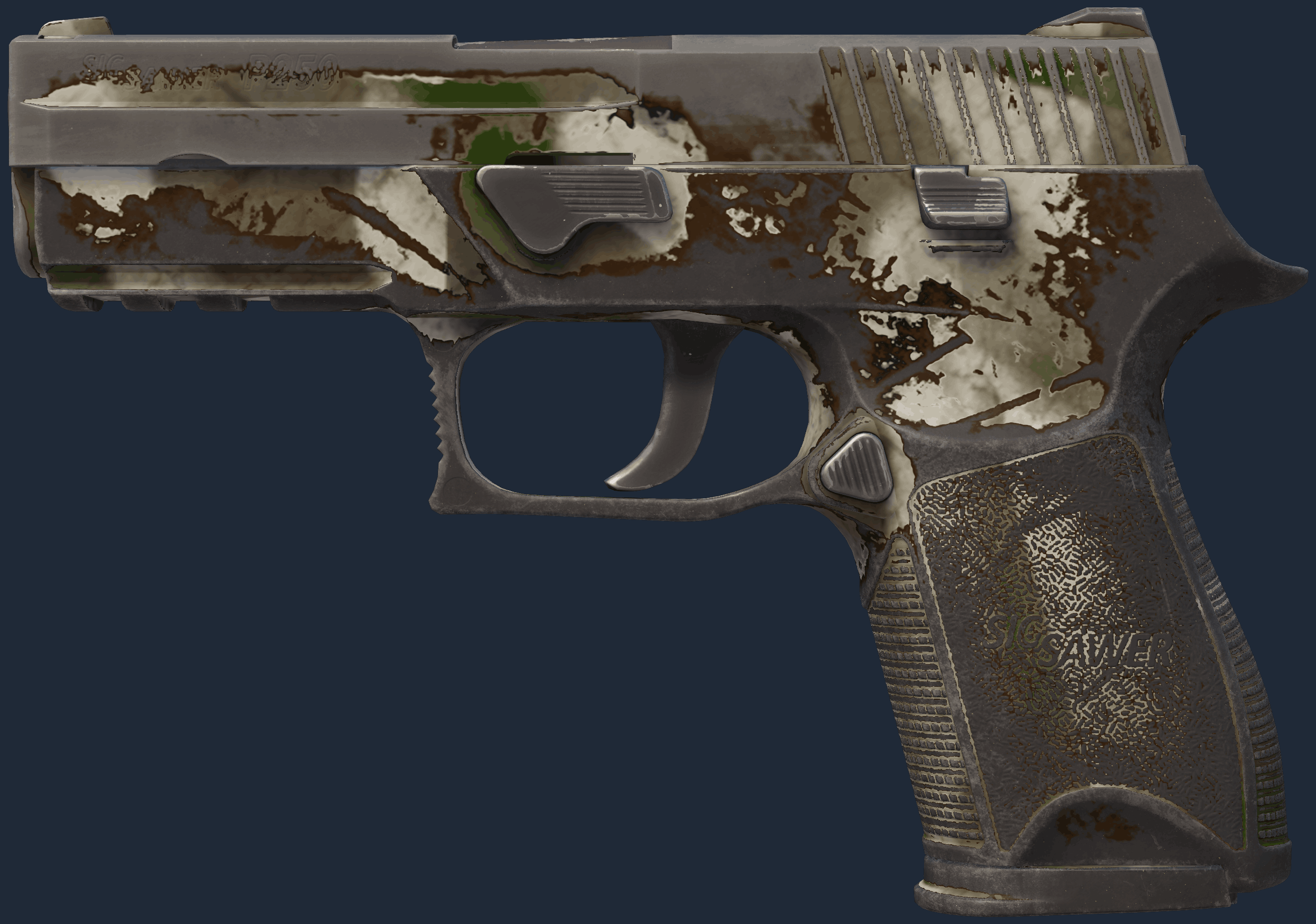 P250 | Bone Mask Image