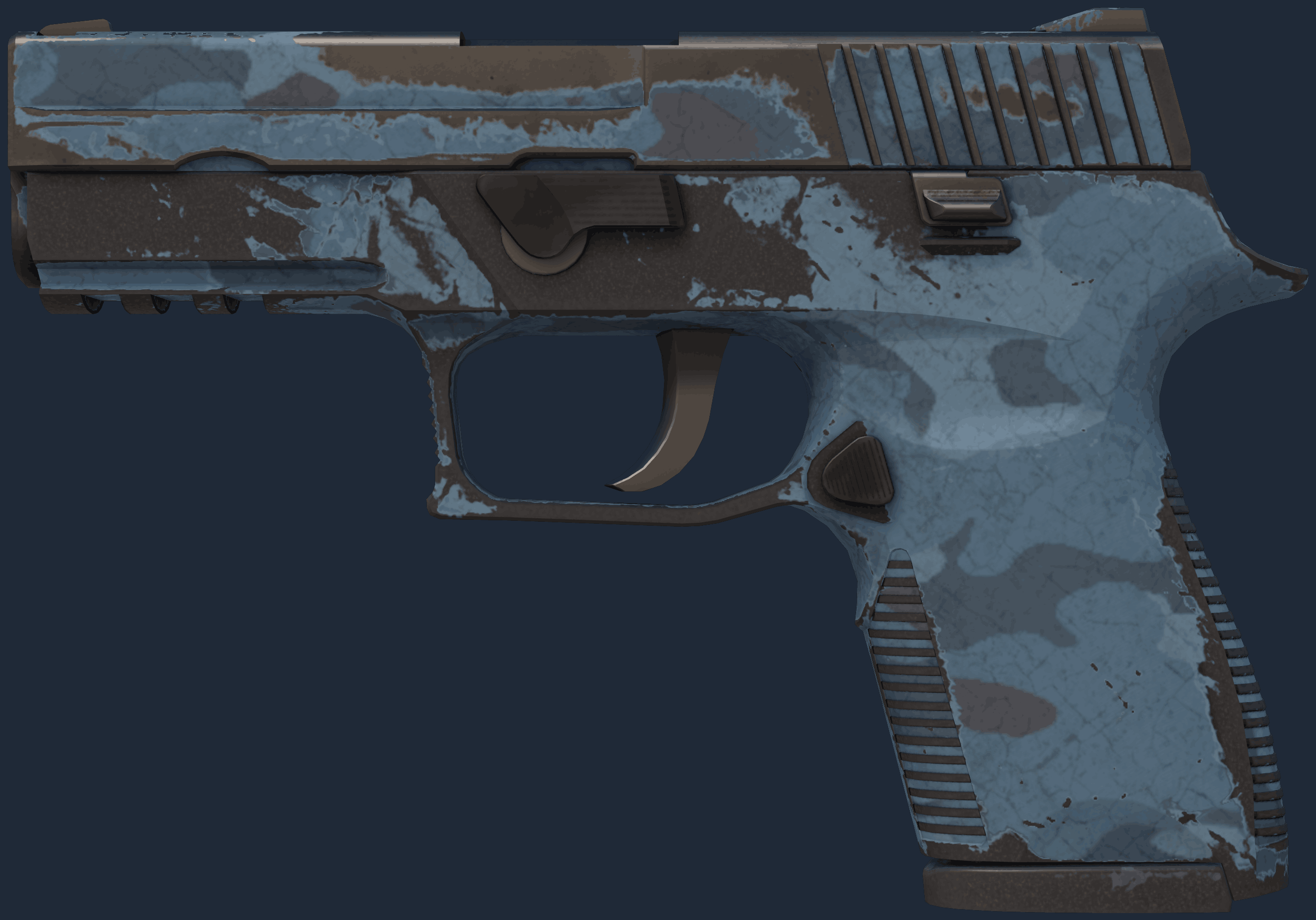 P250 | Forest Night Image