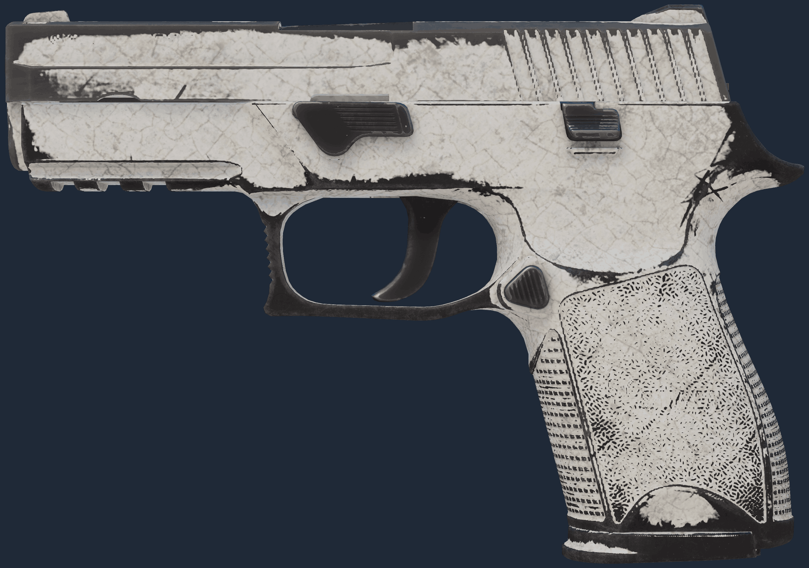 P250 | Whiteout Image