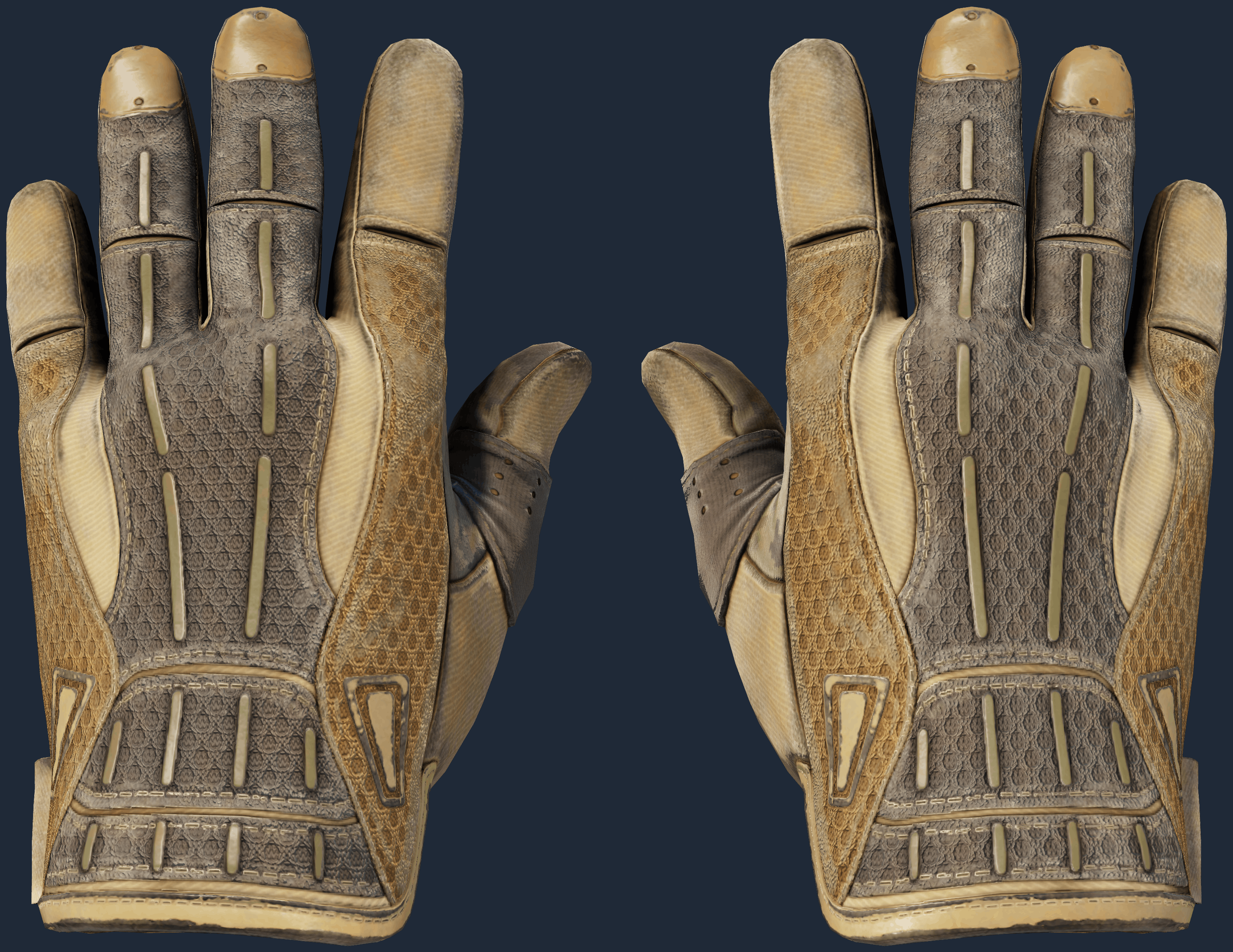 ★ Sport Gloves | Arid Image