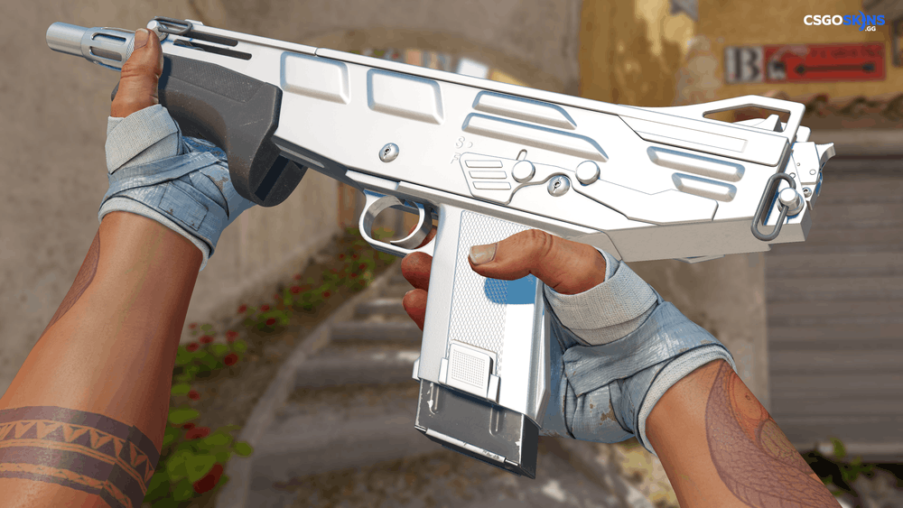 MAG-7 | Silver Artwork