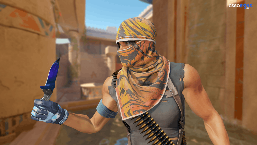 ★ Nomad Knife | Doppler Phase 3 Artwork