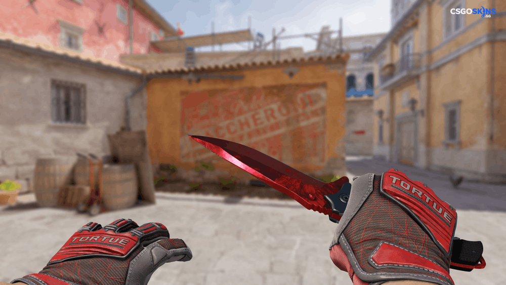 ★ Nomad Knife | Doppler Ruby Artwork