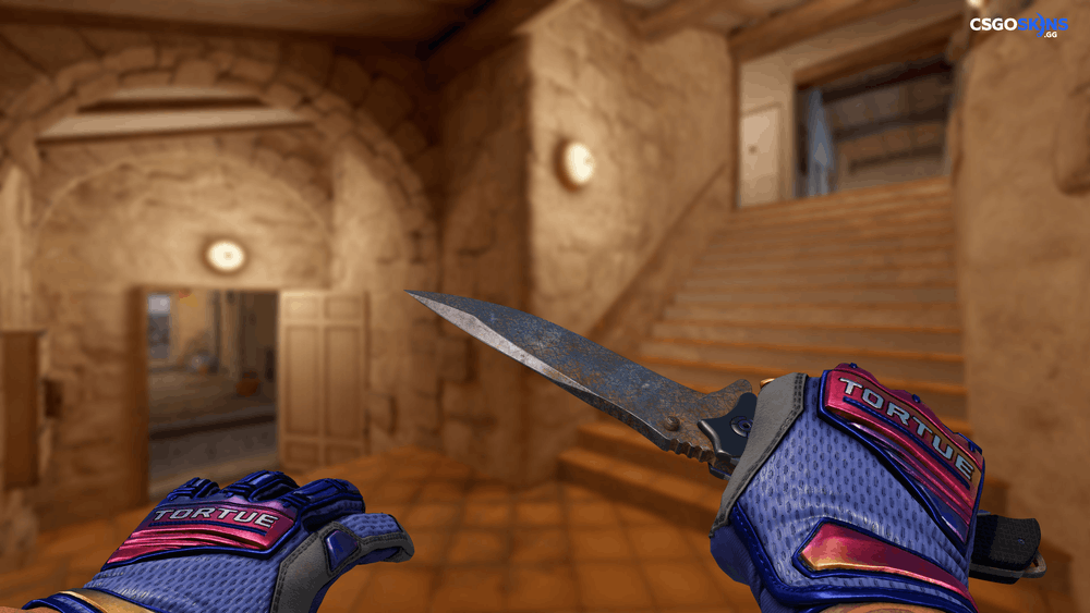 ★ Nomad Knife | Rust Coat Artwork