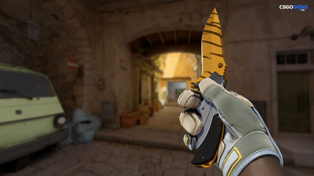 ★ Nomad Knife | Tiger Tooth Artwork