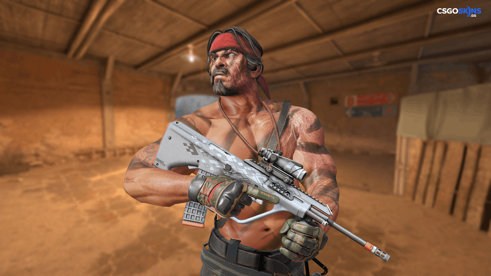 AUG | Trigger Discipline Artwork