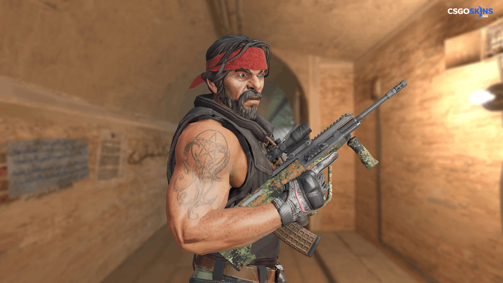 AUG | Commando Company Artwork