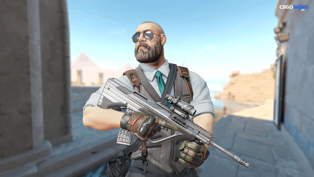 AUG | Steel Sentinel Artwork