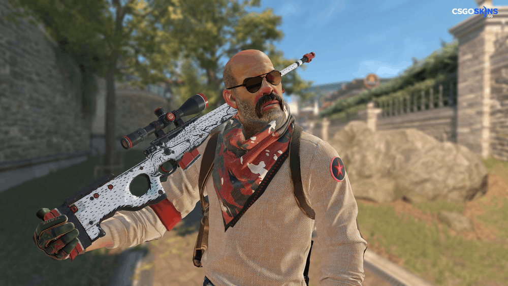 AWP | LongDog Artwork