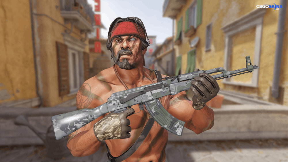 AK-47 | VariCamo Grey Artwork