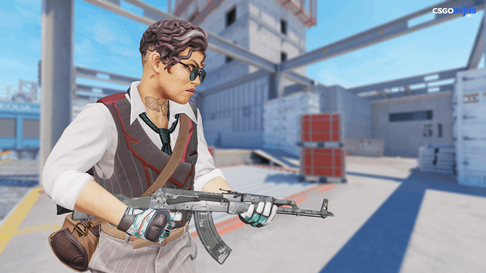 AK-47 | VariCamo Grey Artwork