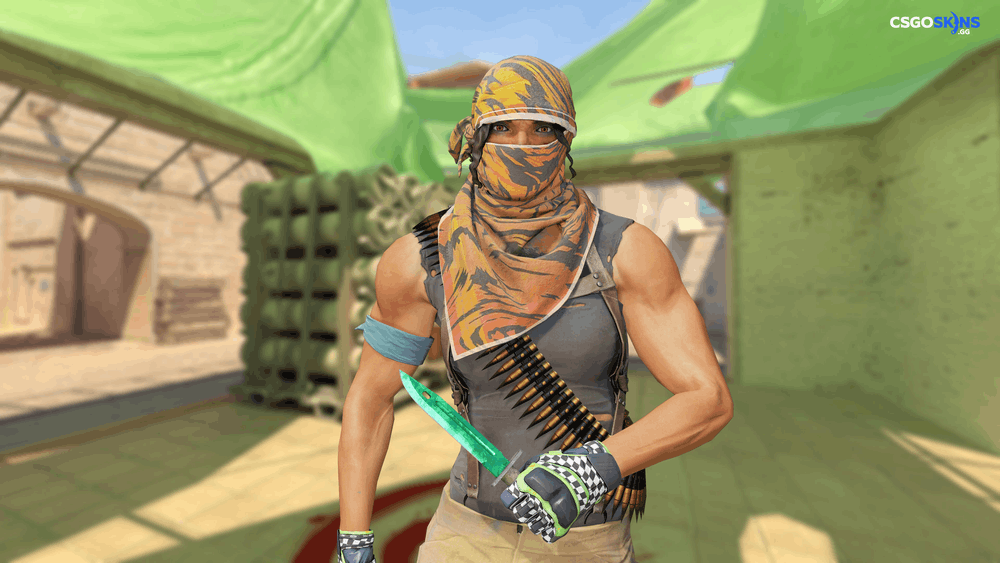 ★ Bayonet | Gamma Doppler Emerald Artwork