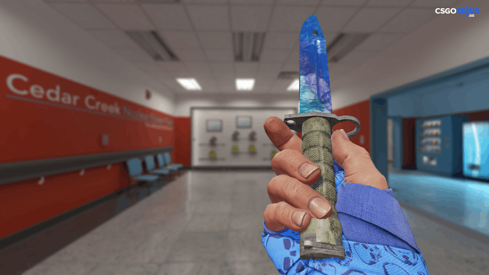 ★ Bayonet | Gamma Doppler Phase 1 Artwork