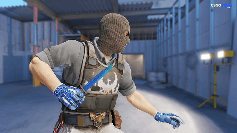 ★ Bayonet | Gamma Doppler Phase 1 Artwork