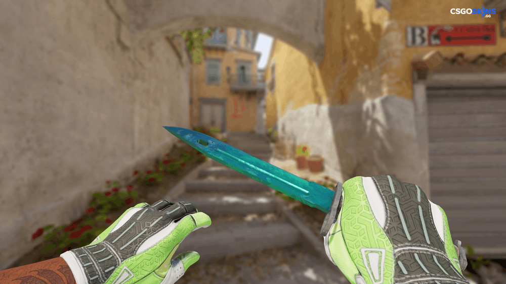 ★ Bayonet | Gamma Doppler Phase 2 Artwork