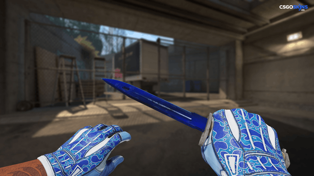 ★ Bayonet | Doppler Phase 4 Artwork