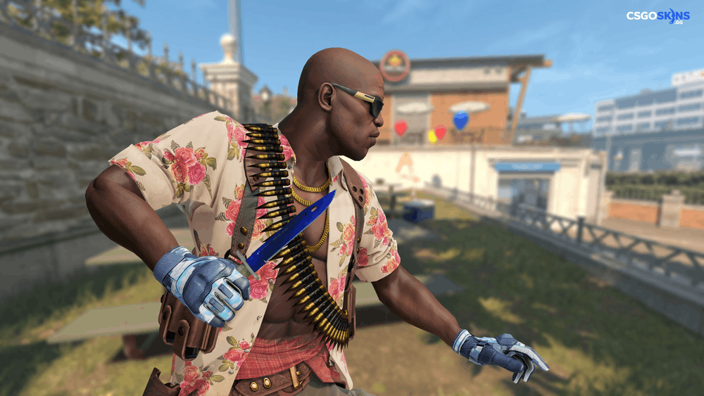 ★ Bayonet | Doppler Phase 4 Artwork