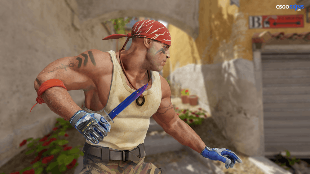 ★ Bayonet | Doppler Phase 1 Artwork