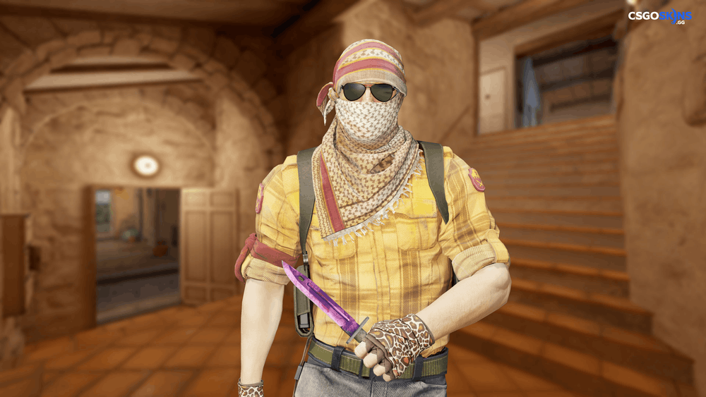 ★ Bayonet | Doppler Phase 2 Artwork