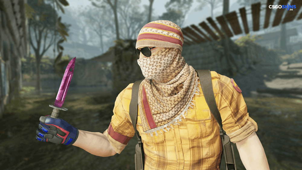 ★ Bayonet | Doppler Phase 2 Artwork