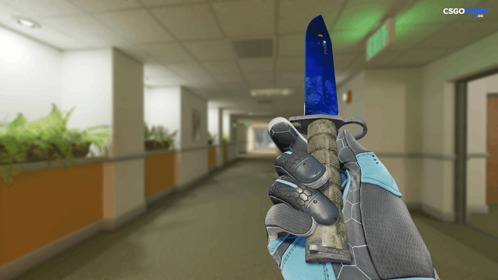 ★ Bayonet | Doppler Phase 3 Artwork