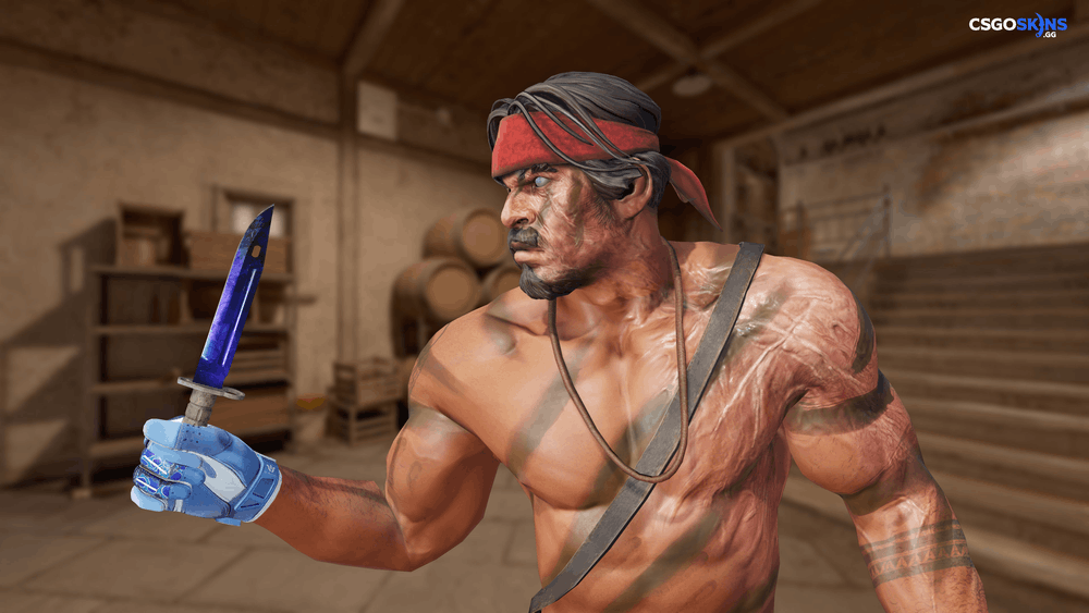 ★ Bayonet | Doppler Phase 3 Artwork