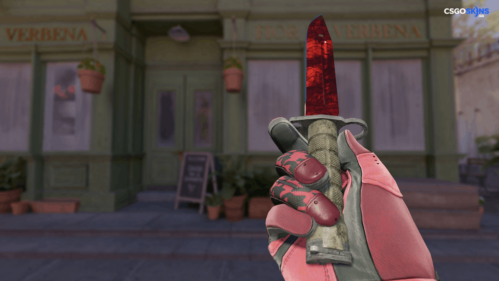 ★ Bayonet | Doppler Ruby Artwork