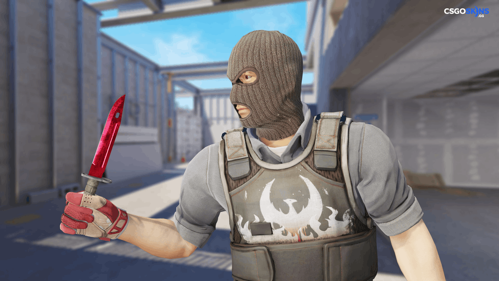 ★ Bayonet | Doppler Ruby Artwork